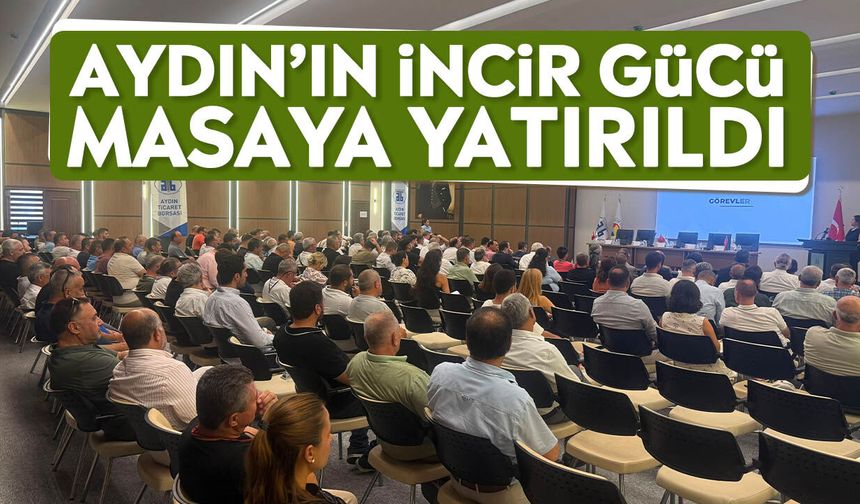 Aydın’ın incir gücü masaya yatırıldı
