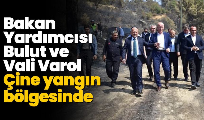 Bakan Yardımcısı Bulut ve Vali Varol Çine yangın bölgesinde