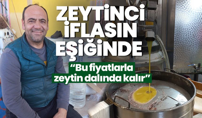 Zeytinci iflasın eşiğinde! “Bu fiyatlarla zeytin dalında kalır”
