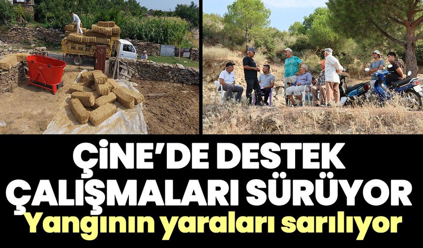 Çine’de destek çalışmaları sürüyor! Yangının yaraları sarılıyor