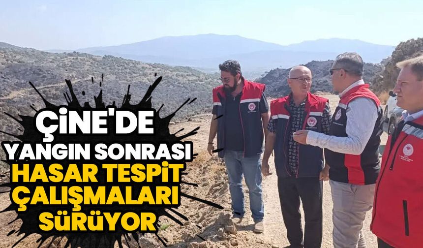 Çine'de yangın sonrası hasar tespit çalışmaları sürüyor