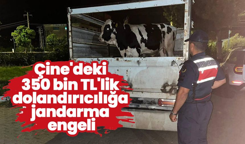 Çine'deki 350 bin TL'lik dolandırıcılığa jandarma engeli