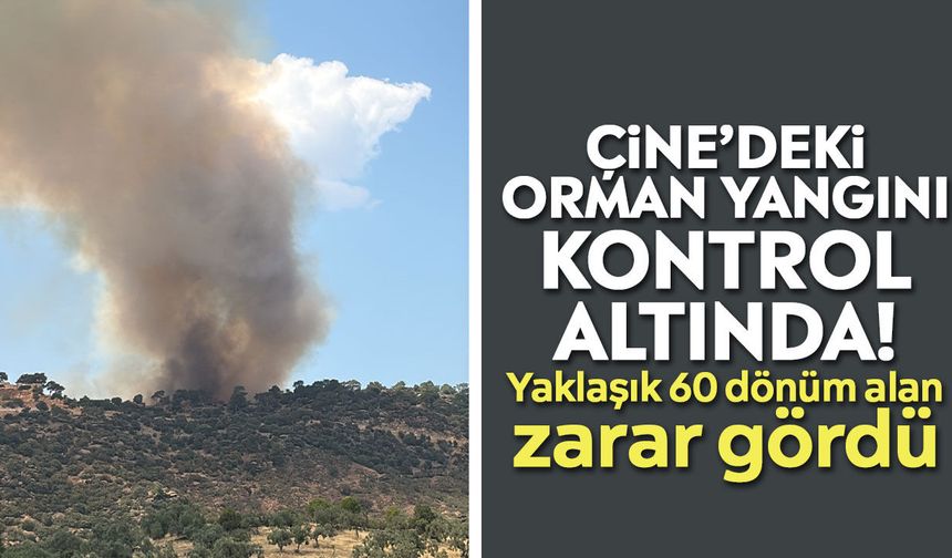 Çine’deki orman yangını kontrol altında! Yaklaşık 60 dönüm alan zarar gördü