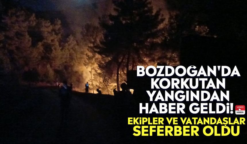 Bozdoğan'da korkutan yangından haber geldi! Ekipler ve vatandaşlar seferber oldu