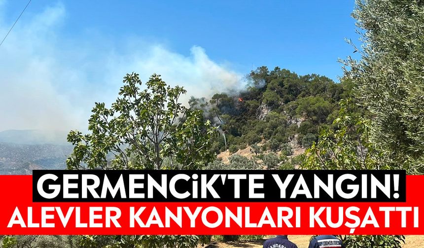 Germencik'te yangın! Alevler kanyonları kuşattı