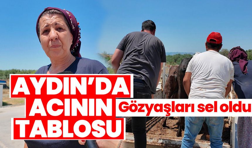 Aydın’da acının tablosu! Gözyaşları sel oldu