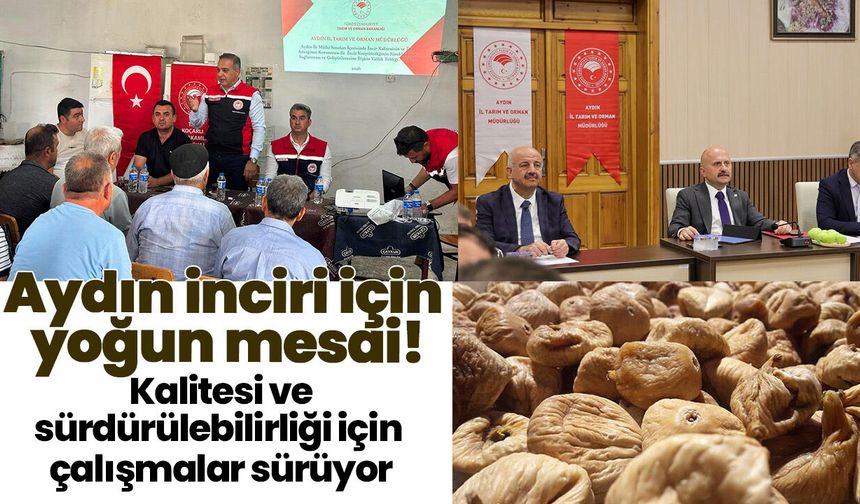 Aydın inciri için yoğun mesai! Kalitesi ve sürdürülebilirliği için çalışmalar sürüyor