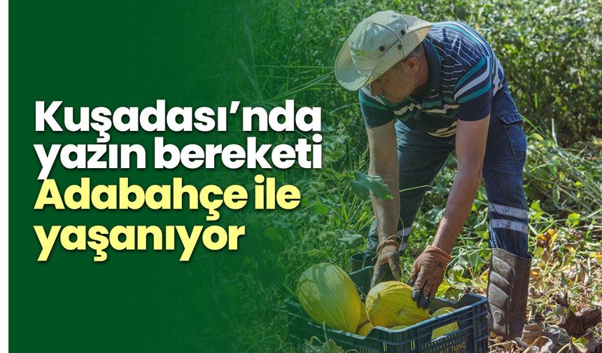 Kuşadası’nda yazın bereketi Adabahçe ile yaşanıyor