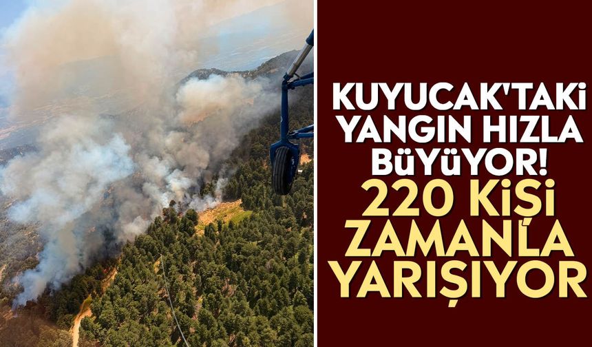 Kuyucak'taki yangın hızla büyüyor! 220 kişi zamanla yarışıyor
