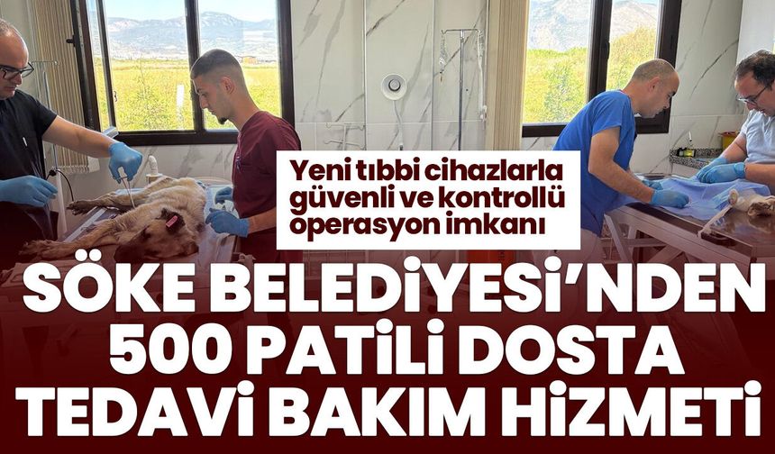Söke Belediyesi’nden 500 patili dosta tedavi bakım hizmeti! Yeni tıbbi cihazlarla güvenli ve kontrollü operasyon imkanı