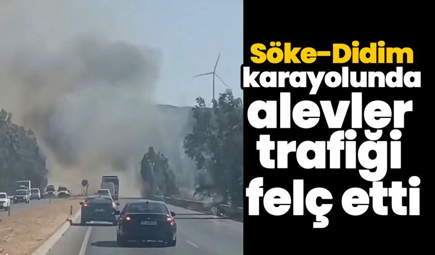 Söke-Didim karayolunda alevler trafiği felç etti