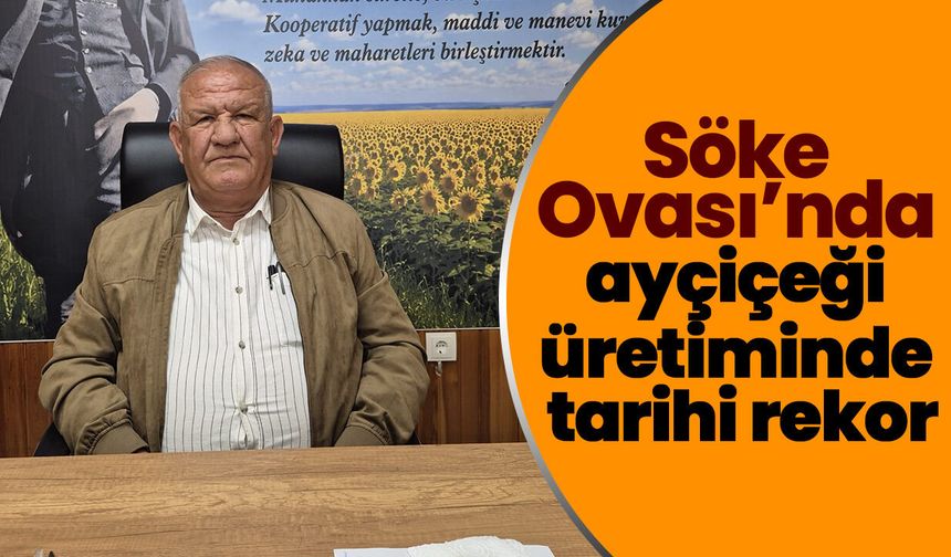 Söke Ovası’nda ayçiçeği üretiminde tarihi rekor