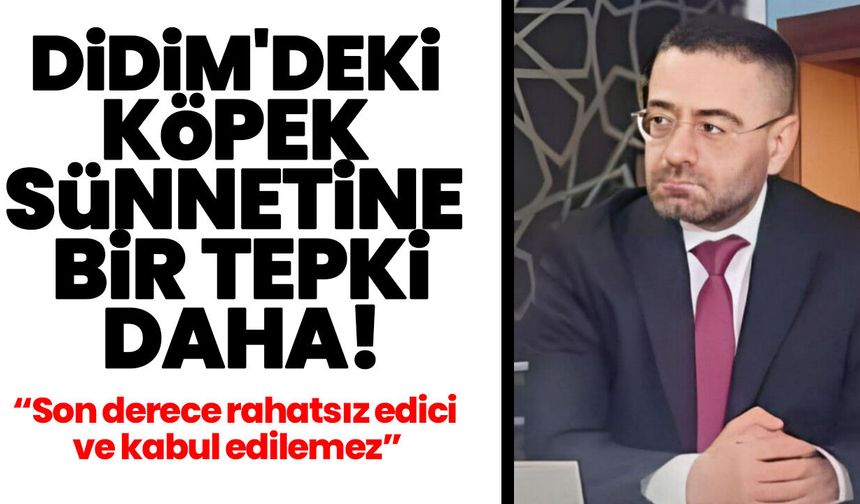Didim'deki köpek sünnetine bir tepki daha!