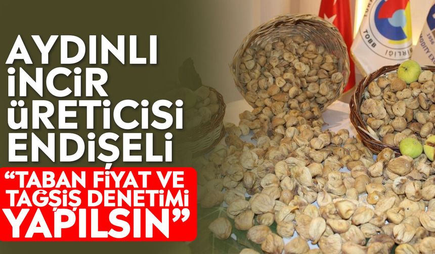 Aydınlı incir üreticisi endişeli: “Taban fiyat ve tağşiş denetimi yapılsın”