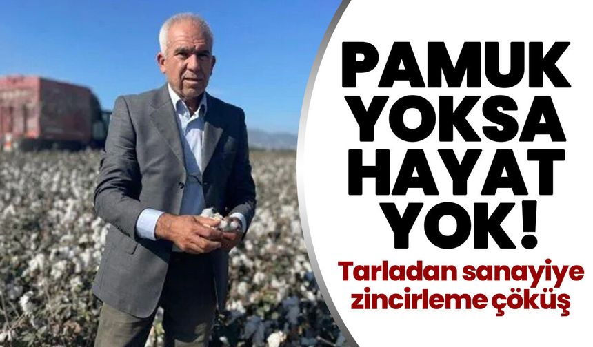 Pamuk yoksa hayat yok! Tarladan sanayiye zincirleme çöküş