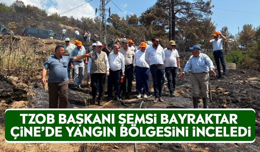 TZOB Başkanı Şemsi Bayraktar Çine’de yangın bölgesini inceledi