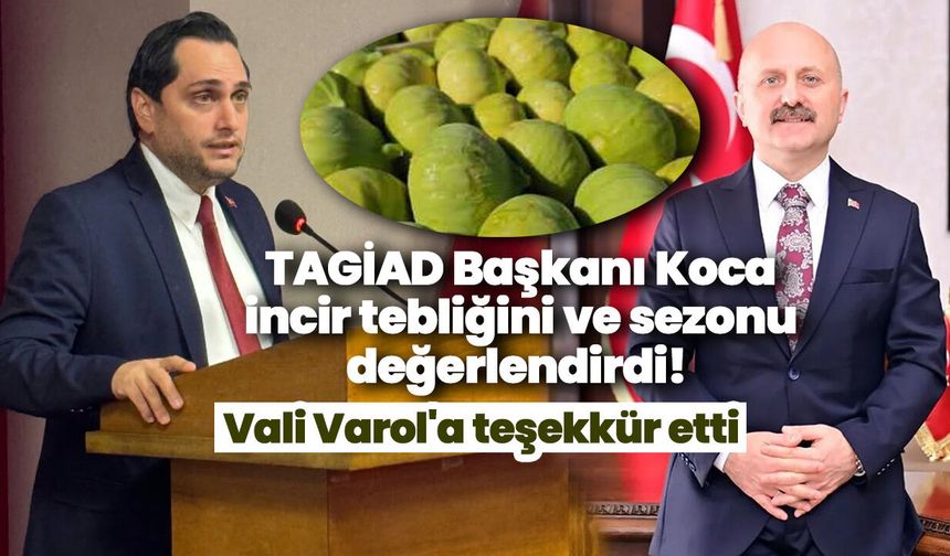 TAGİAD Başkanı Koca incir tebliğini ve sezonu değerlendirdi! Vali Varol'a teşekkür etti