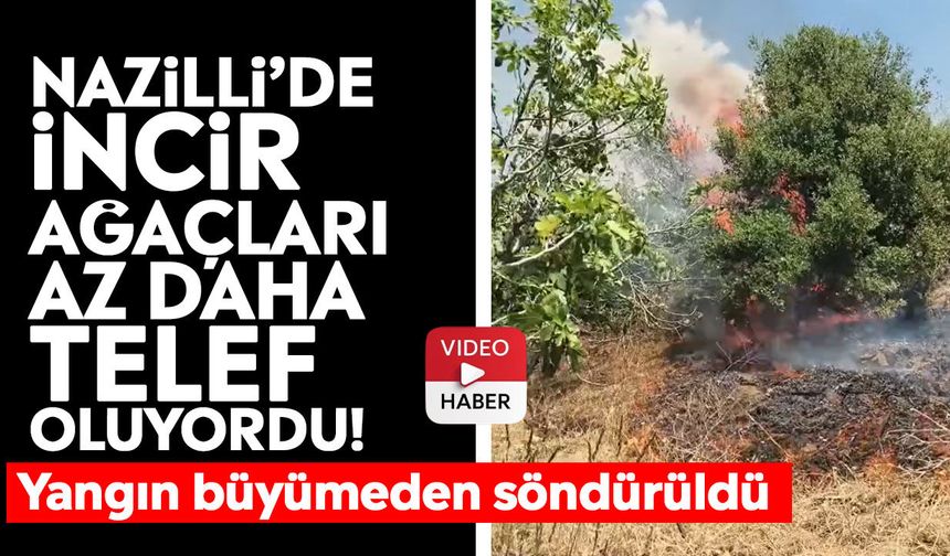 Nazilli’de incir ağaçları az daha telef oluyordu!  Yangın büyümeden söndürüldü