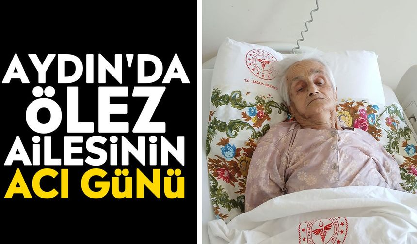 Aydın'da Ölez ailesinin acı günü