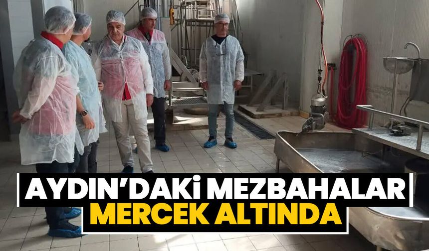 Aydın’daki mezbahalar mercek altında