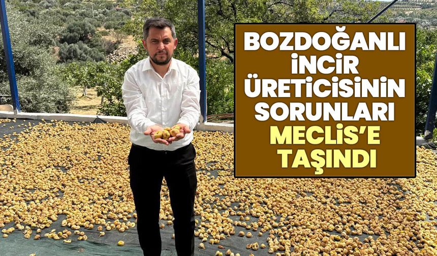 Bozdoğanlı incir üreticisinin sorunları Meclis’e taşındı