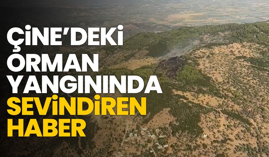 Çine’deki orman yangınında sevindiren haber