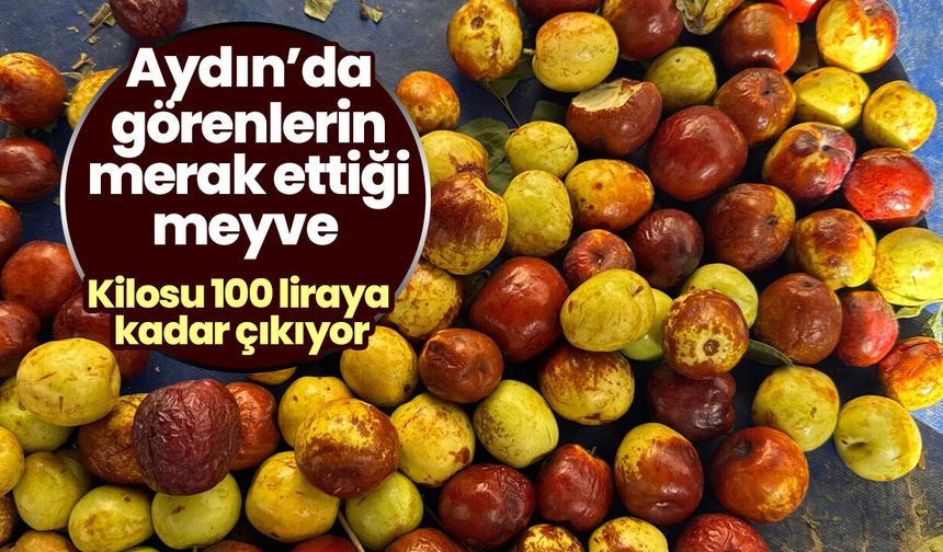 Aydın’da görenlerin merak ettiği meyve! Kilosu 100 liraya kadar çıkıyor