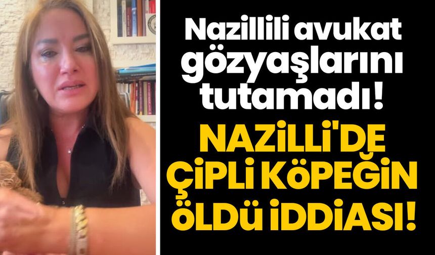 Nazillili avukat gözyaşlarını tutamadı! Nazilli'de çipli köpeğin öldü iddiası!