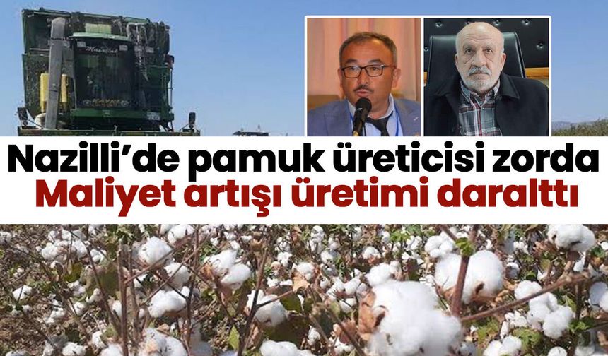 Nazilli’de pamuk üreticisi zorda! Maliyet artışı üretimi daralttı