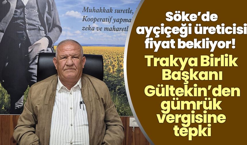 Söke’de ayçiçeği üreticisi fiyat bekliyor! Trakya Birlik Başkanı Gültekin’den gümrük vergisine tepki